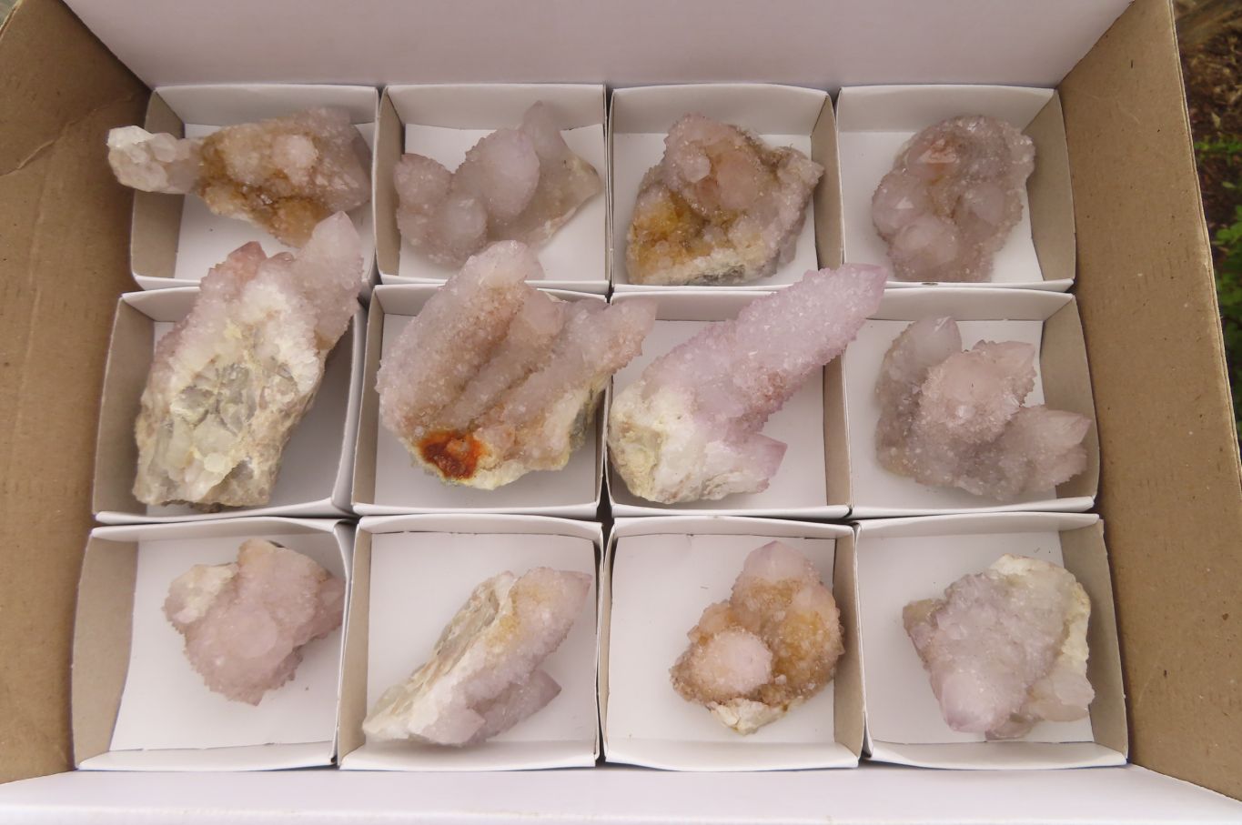 Natural Ametrine Spirit Quartz Clusters x 12 From Boekenhouthoek, South Africa - Toprock Gemstones and Minerals 