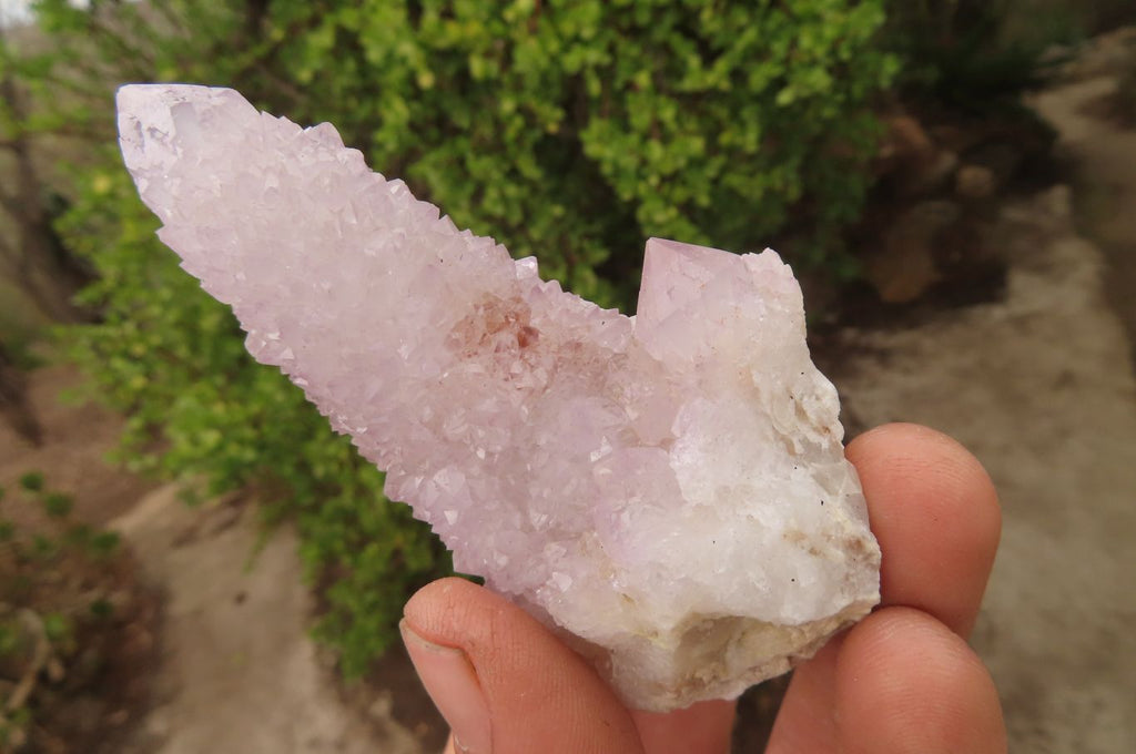 Natural Ametrine Spirit Quartz Clusters x 12 From Boekenhouthoek, South Africa - Toprock Gemstones and Minerals 