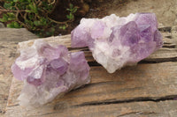 Natural Jacaranda Amethyst Clusters x 2 From Mumbwa, Zambia