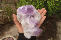 Natural Jacaranda Amethyst Clusters x 2 From Mumbwa, Zambia