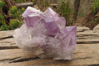 Natural Jacaranda Amethyst Clusters x 2 From Mumbwa, Zambia