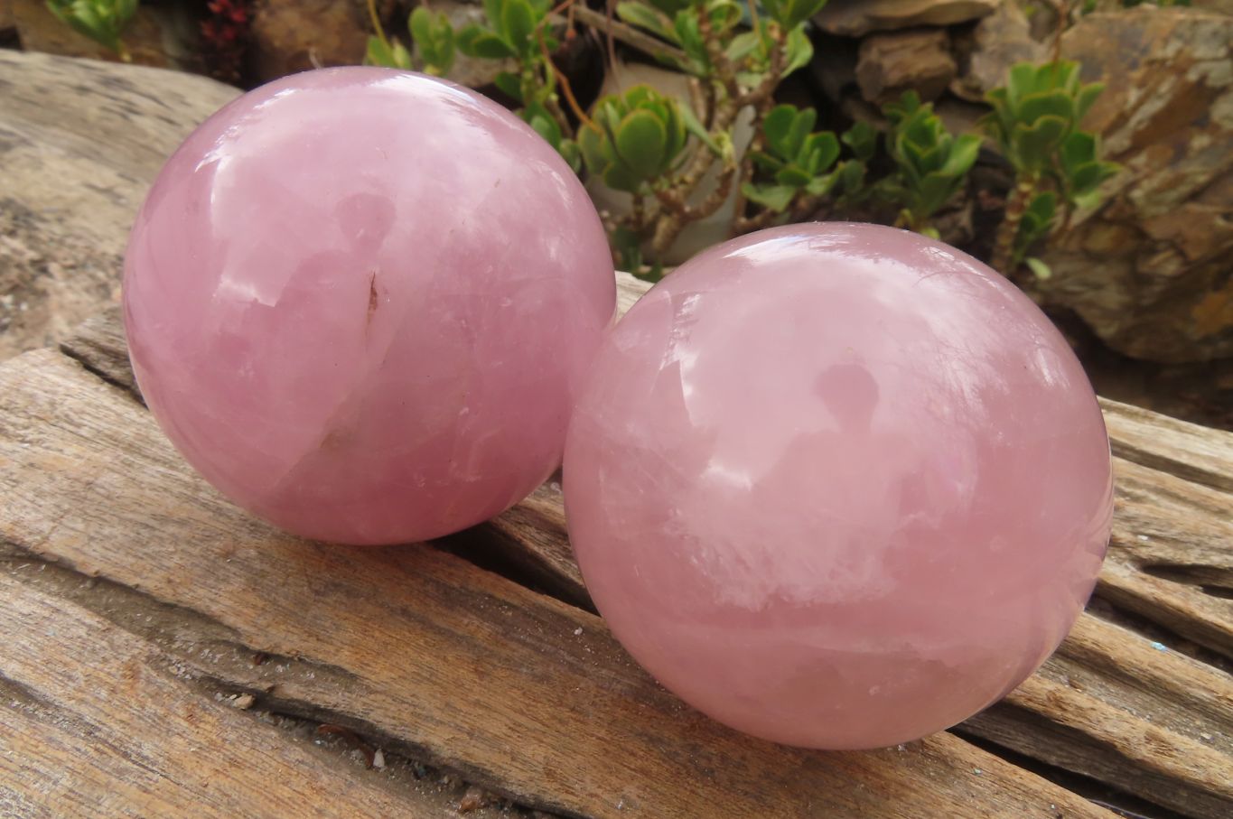 Polished Rose Quartz Spheres x 2 From Ambatondrazaka, Madagascar - Toprock Gemstones and Minerals 