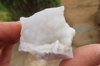 Natural Etched Blue Chalcedony Specimens x 35 Nsanje, Malawi - Toprock Gemstones and Minerals 