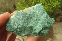 Natural Jade Cobbed Specimens x 12 From Swaziland - Toprock Gemstones and Minerals 