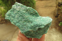 Natural Jade Cobbed Specimens x 12 From Swaziland - Toprock Gemstones and Minerals 