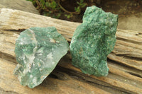 Natural Jade Cobbed Specimens x 12 From Swaziland - Toprock Gemstones and Minerals 