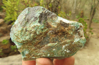 Natural Jade Cobbed Specimens x 12 From Swaziland - Toprock Gemstones and Minerals 