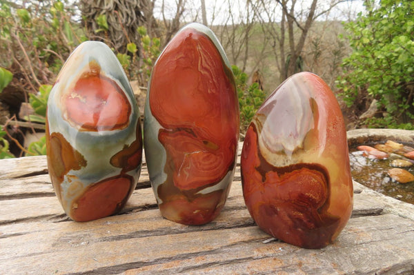 Polished Polychrome Jasper Standing Free Forms x 3 From Madagascar - Toprock Gemstones and Minerals 