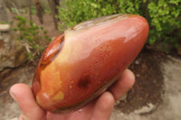 Polished Polychrome Jasper Standing Free Forms x 3 From Madagascar - Toprock Gemstones and Minerals 