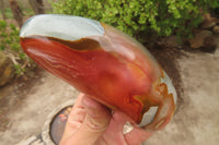 Polished Polychrome Jasper Standing Free Forms x 3 From Madagascar - Toprock Gemstones and Minerals 