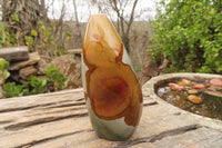 Polished Polychrome Jasper Standing Free Forms x 3 From Madagascar - Toprock Gemstones and Minerals 