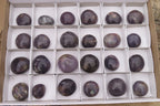 Polished Lepidolite Galet / Palm Stones x 24 From Madagascar - Toprock Gemstones and Minerals 