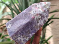 Polished Lepidolite Points x 2 From Madagascar - Toprock Gemstones and Minerals 
