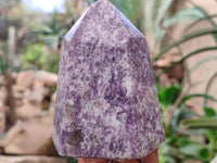 Polished Lepidolite Points x 2 From Madagascar - Toprock Gemstones and Minerals 