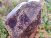Polished Lepidolite Points x 2 From Madagascar - Toprock Gemstones and Minerals 