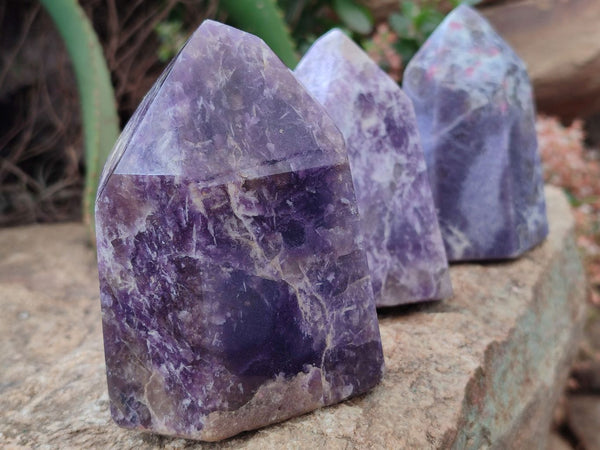 Polished Lepidolite Points x 2 From Madagascar - Toprock Gemstones and Minerals 