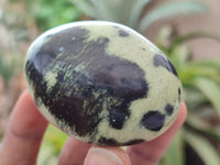 Polished Leopard Stone Galet / Palm Stones x 12 From Zimbabwe - Toprock Gemstones and Minerals 