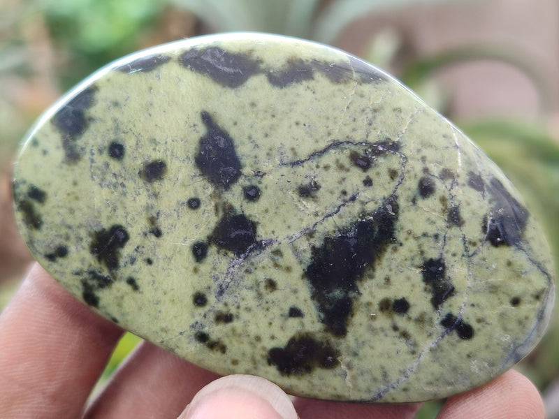 Black Spots Milky Green Stone Gemstone Dark Green And Brown