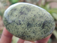 Polished Leopard Stone Galet / Palm Stones x 12 From Zimbabwe - Toprock Gemstones and Minerals 