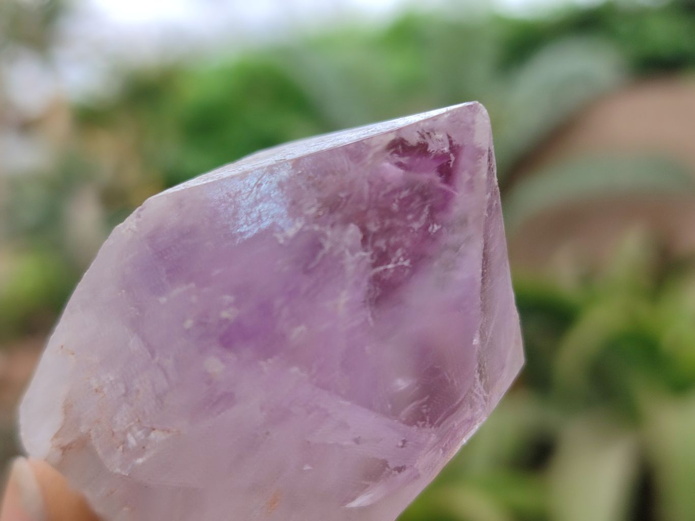 Natural Jacaranda Amethyst Single Crystals x 24 From Zambia - Toprock Gemstones and Minerals 