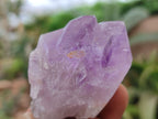 Natural Jacaranda Amethyst Single Crystals x 24 From Zambia - Toprock Gemstones and Minerals 