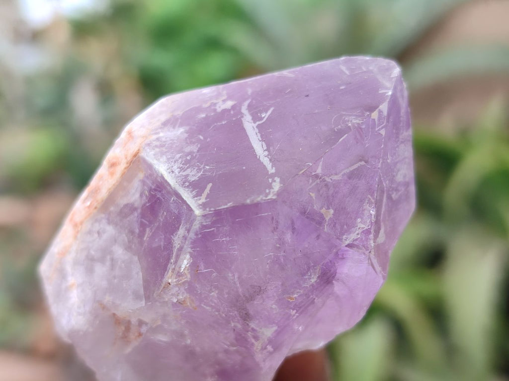 Natural Jacaranda Amethyst Single Crystals x 24 From Zambia - Toprock Gemstones and Minerals 