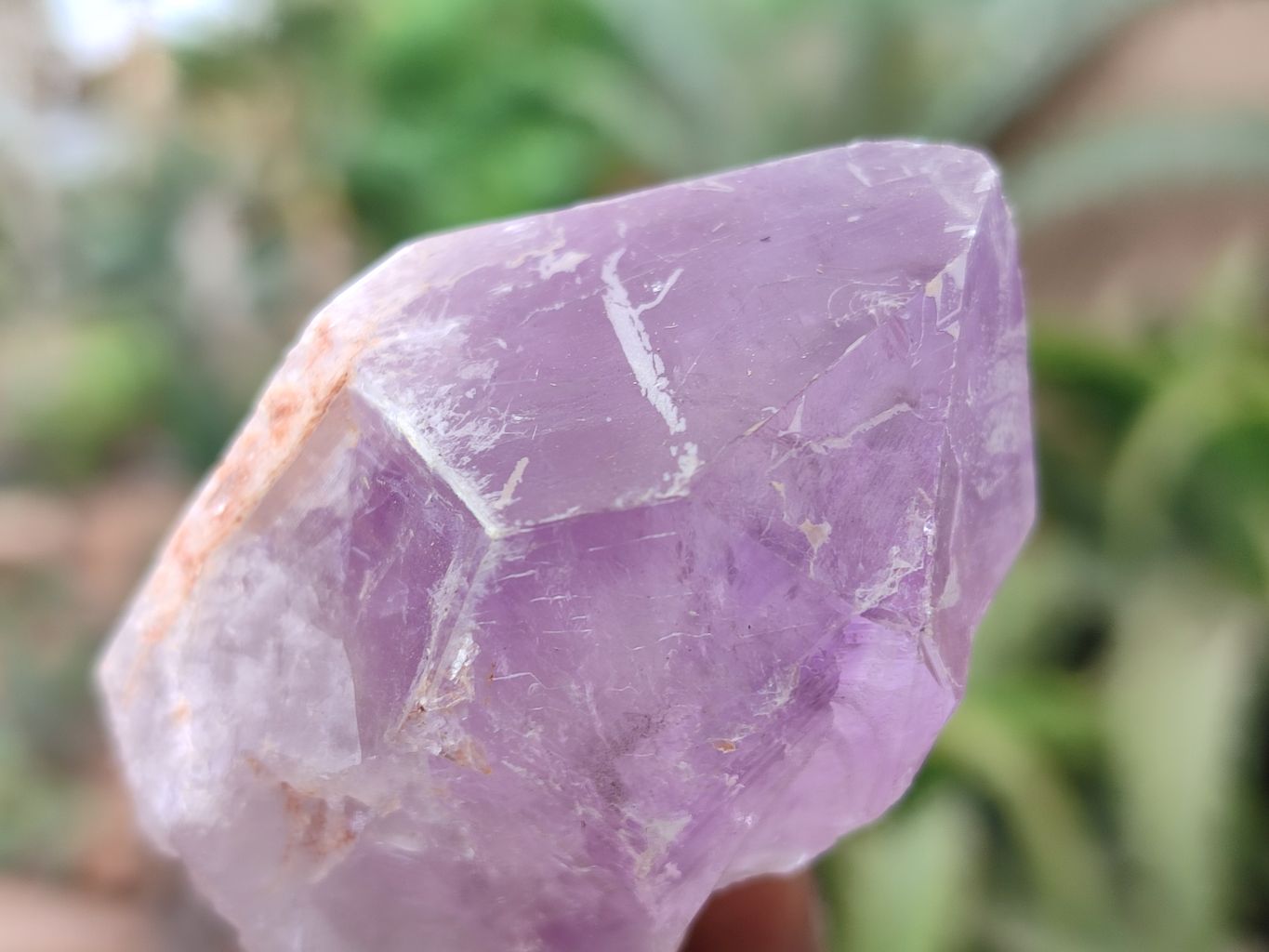 Natural Jacaranda Amethyst Single Crystals x 24 From Zambia - Toprock Gemstones and Minerals 