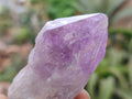 Natural Jacaranda Amethyst Single Crystals x 24 From Zambia - Toprock Gemstones and Minerals 