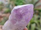 Natural Jacaranda Amethyst Single Crystals x 24 From Zambia - Toprock Gemstones and Minerals 