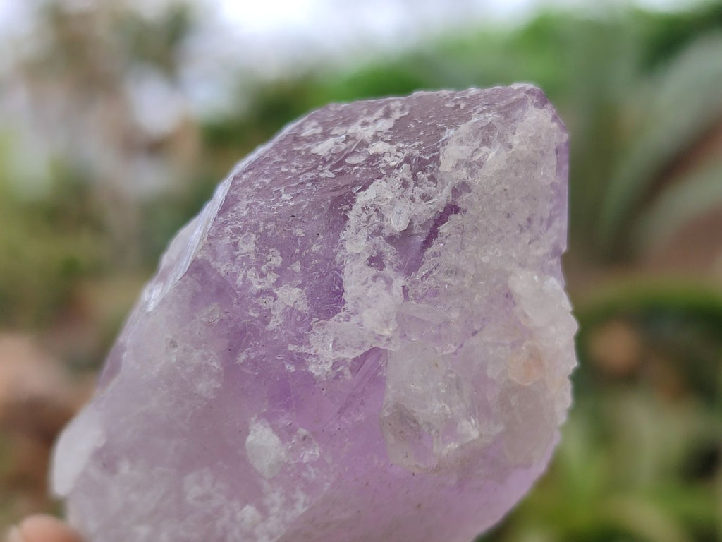 Natural Jacaranda Amethyst Single Crystals x 24 From Zambia - Toprock Gemstones and Minerals 