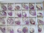 Natural Jacaranda Amethyst Single Crystals x 24 From Zambia - Toprock Gemstones and Minerals 