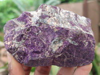 Natural Metallic Purpurite Cobbed Specimens x 6 From Erongo, Namibia - Toprock Gemstones and Minerals 