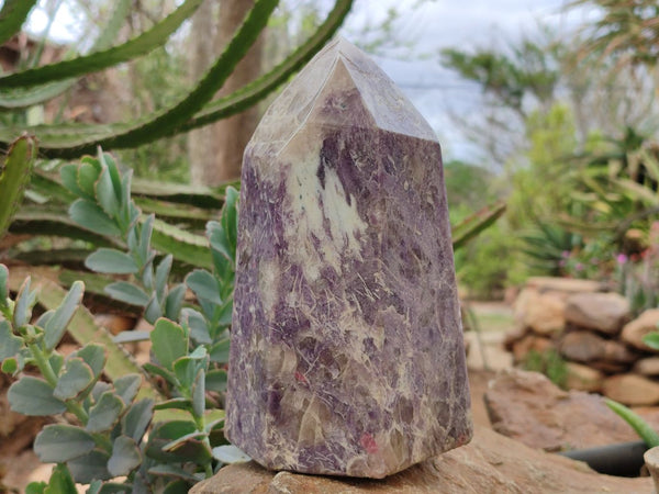 Polished Lepidolite Prism x 1 From Madagascar - Toprock Gemstones and Minerals 
