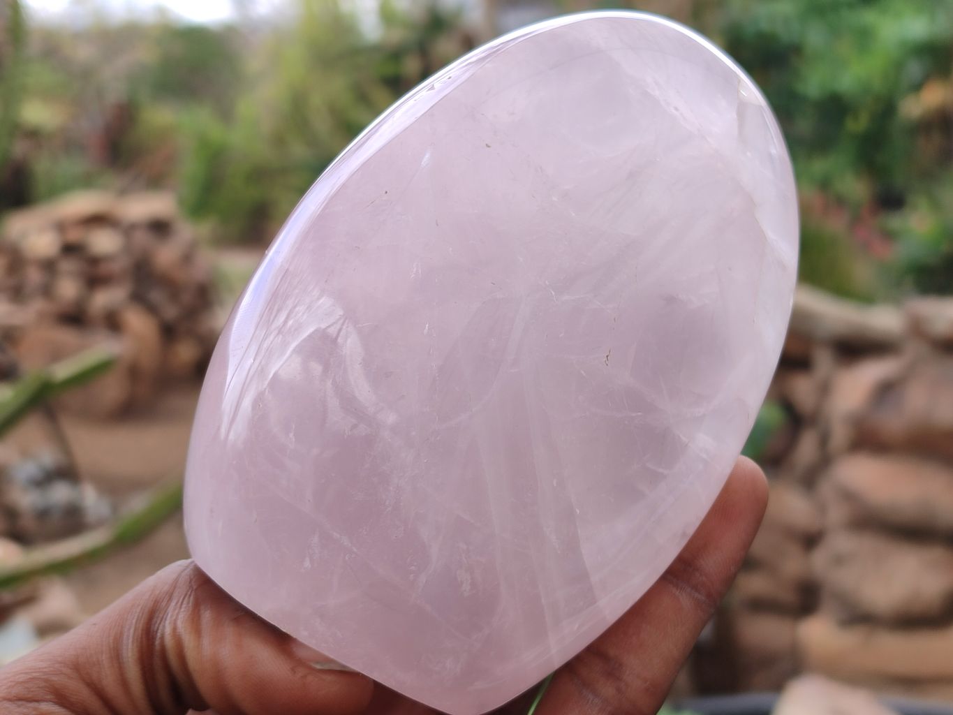 Polished Rose Quartz Standing Free Forms x 3 From Madagascar - Toprock Gemstones and Minerals 