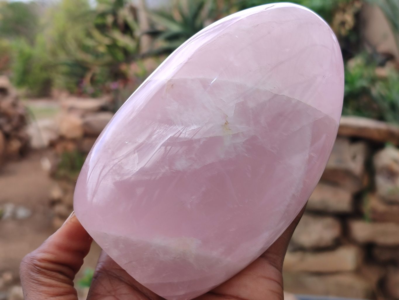 Polished Rose Quartz Standing Free Forms x 3 From Madagascar - Toprock Gemstones and Minerals 