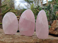 Polished Rose Quartz Standing Free Forms x 3 From Madagascar - Toprock Gemstones and Minerals 