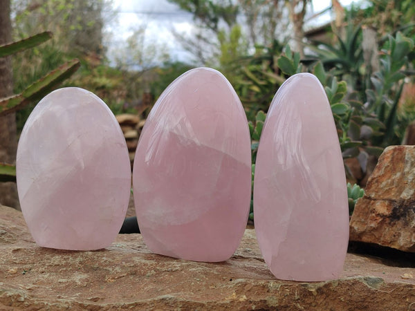 Polished Rose Quartz Standing Free Forms x 3 From Madagascar - Toprock Gemstones and Minerals 