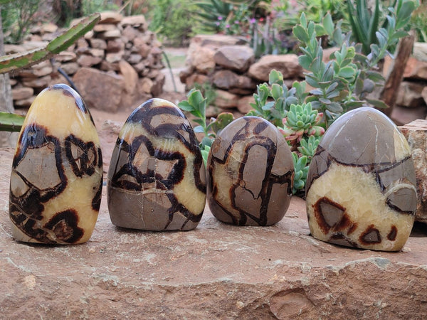 Polished Septerye Standing Free Forms x 4 From Madagascar - Toprock Gemstones and Minerals 