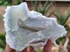 Natural Etched Blue Chalcedony Specimens x 3 From Malawi - Toprock Gemstones and Minerals 