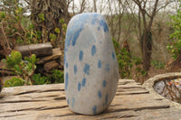 Polished XL Blue Spinel Quartz Standing Free Form x 1 From Madagascar - Toprock Gemstones and Minerals 