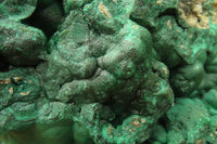 Natural Huge Botryoidal Malachite Specimen x 1 From Kolwezi, Congo - Toprock Gemstones and Minerals 
