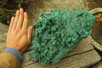 Natural Huge Botryoidal Malachite Specimen x 1 From Kolwezi, Congo - Toprock Gemstones and Minerals 