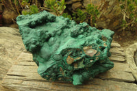 Natural Huge Botryoidal Malachite Specimen x 1 From Kolwezi, Congo - Toprock Gemstones and Minerals 