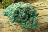 Natural Huge Botryoidal Malachite Specimen x 1 From Kolwezi, Congo - Toprock Gemstones and Minerals 