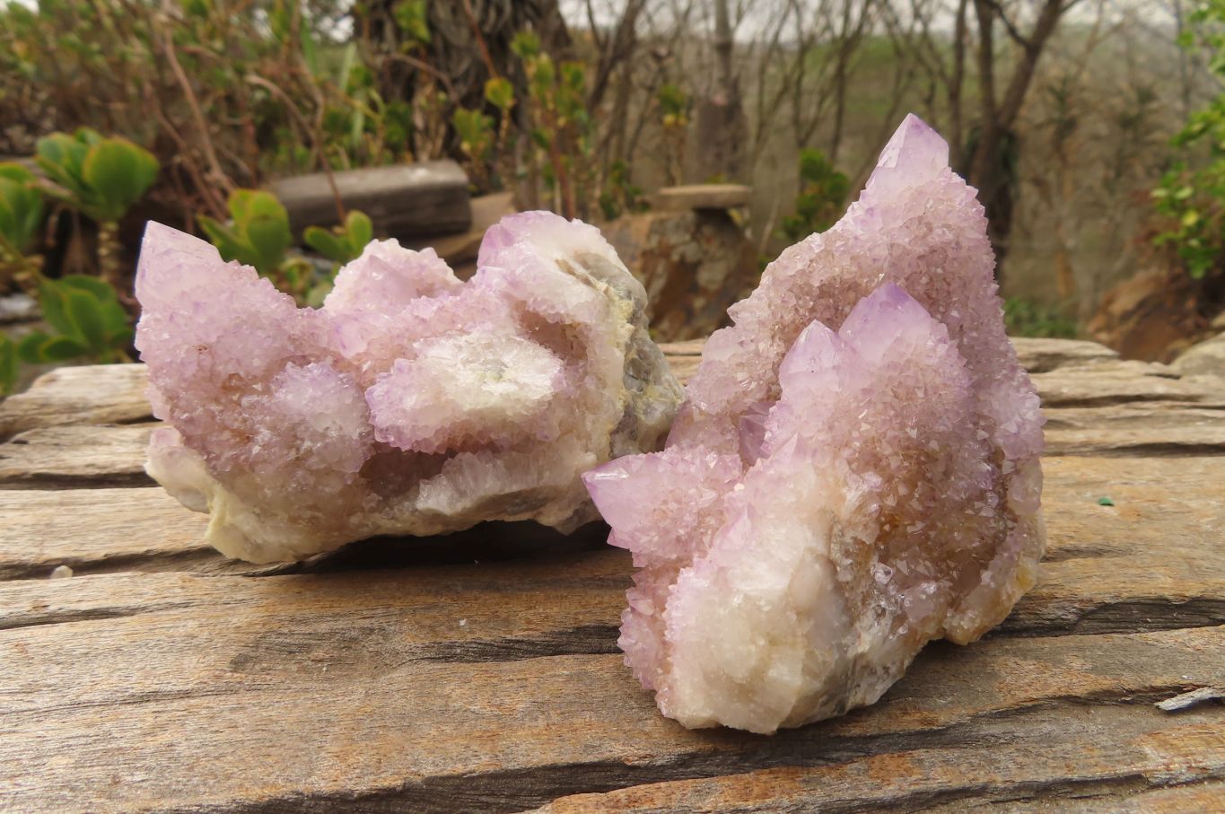 Natural Ametrine Spirit Quartz Clusters x 3 From Boekenhouthoek, South Africa - Toprock Gemstones and Minerals 