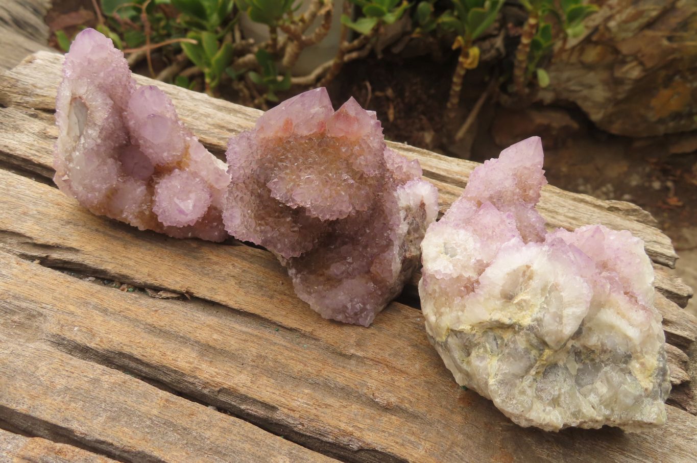 Natural Ametrine Spirit Quartz Clusters x 3 From Boekenhouthoek, South Africa - Toprock Gemstones and Minerals 