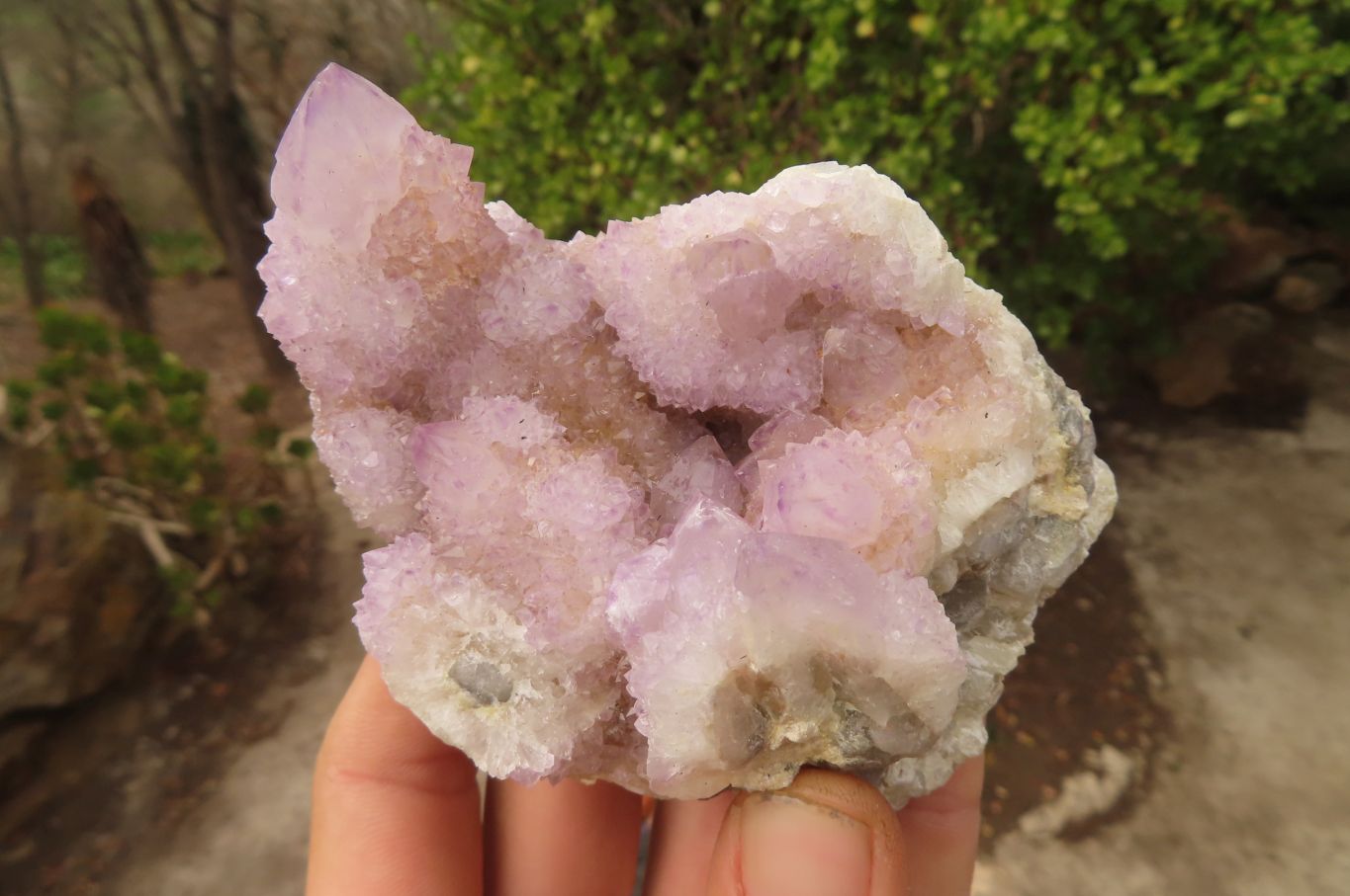 Natural Ametrine Spirit Quartz Clusters x 3 From Boekenhouthoek, South Africa - Toprock Gemstones and Minerals 