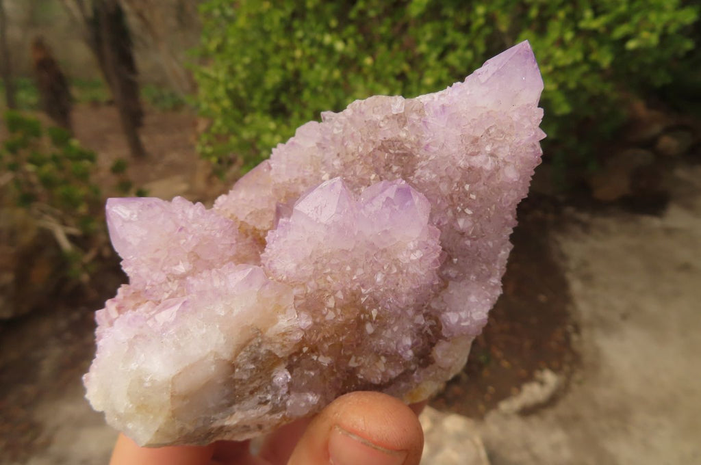 Natural Ametrine Spirit Quartz Clusters x 3 From Boekenhouthoek, South Africa - Toprock Gemstones and Minerals 