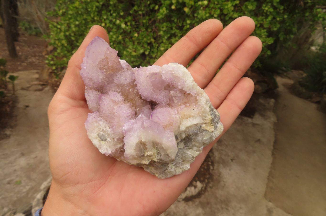 Natural Ametrine Spirit Quartz Clusters x 3 From Boekenhouthoek, South Africa - Toprock Gemstones and Minerals 
