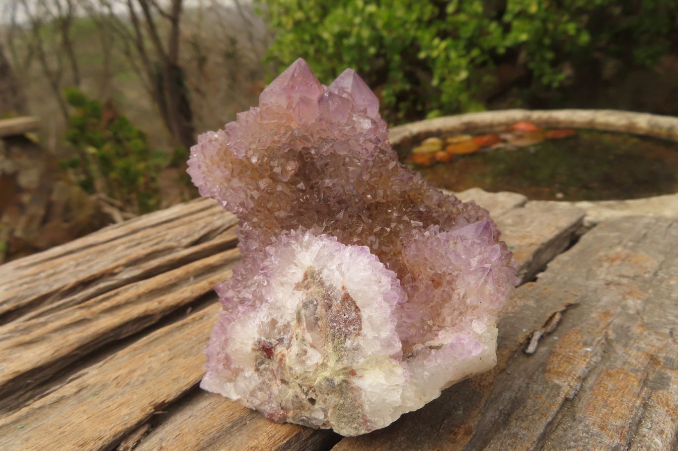 Natural Ametrine Spirit Quartz Clusters x 3 From Boekenhouthoek, South Africa - Toprock Gemstones and Minerals 